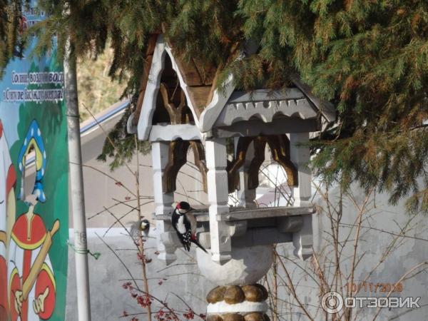 Санаторий Сунгуль (Россия, Челябинская область) фото