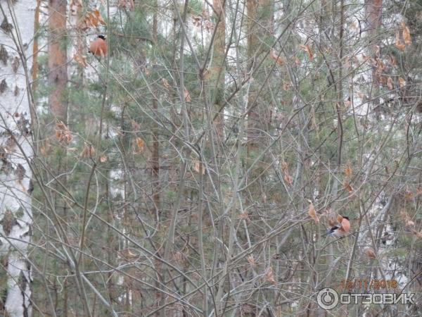 санаторий Сунгуль