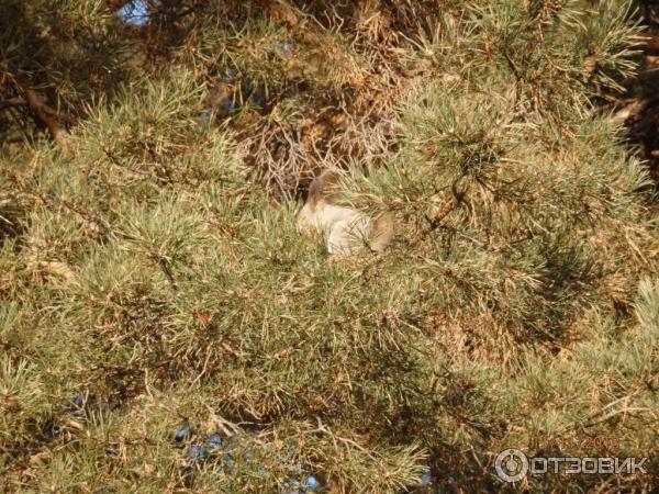 санаторий Сунгуль