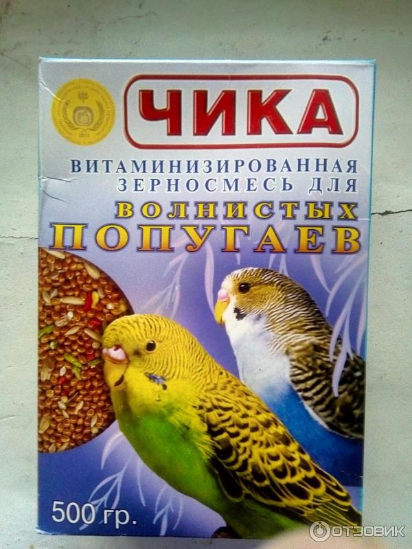 корм Чика