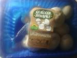 Шампиньоны свежие Сельская ярмарка фото