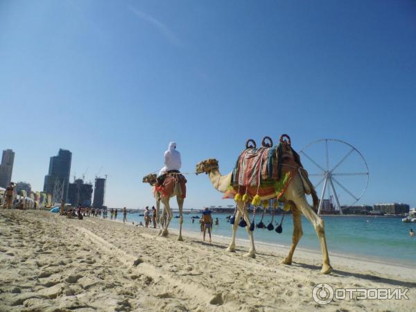 Пляж Dubai Marina beach (ОАЭ, Дубай) фото