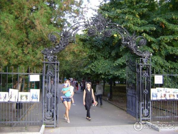 Парк липки саратов фото Отзыв о Парк "Липки" (Россия, Саратов) В городе Саратове, если будешь ты - замеч